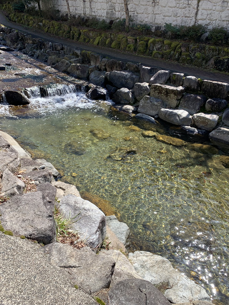 日本三名泉の一つ、下呂温泉の水明館に泊まってきました７