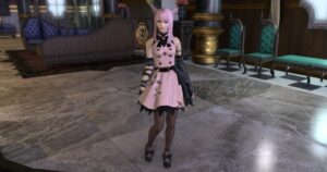 パッチ7.4で追加された課金装備ビブラプリンセス・ドレスを使ったHimechanミラプリ