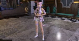 【不具合】ヴァナ・ディーリアン・レンジャーベストをシンデレラバストが着るとカップがパカパカする件